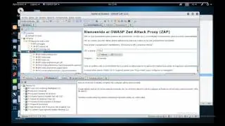 Escaner de vulnerabilidades ZAP - Kali Linux