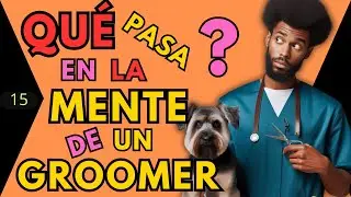 15  Qué pasa por la mente de un groomer ?