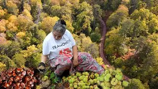 A HIDDEN CHESTNUT PARADISE IN THE KAZ MOUNTAINS! 🌲 An Unforgettable Day with the Villagers (Ciğer...