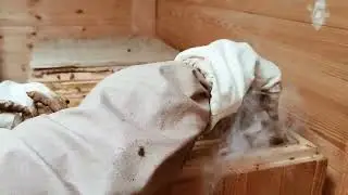 Március 16. Kaptárbontás... 🐝