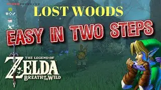 zelda breath of the wild the lost woods walkthrough