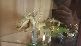 Дом - музей А. М. Горького