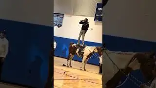 The Dread Head cowboy 🤠 🤣🤣🤣 