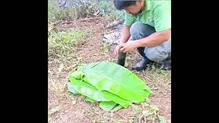 Isda at Bulaklak, Luto sa Kawayan 