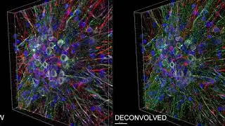 Yokogawa diptych