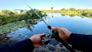 UM LAGO LINDO DESSE, SEM PEIXE!!!