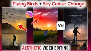 Instagram Trending Flying Birds Video Editing and Sky Colour Change | Viral Reels Video Editing