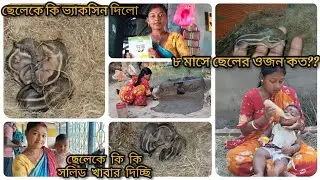 ঝড় বৃষ্টি রাতে আম গাছের ডাল থেকে কাঠবিড়ালি বাচ্চা পড়ে গেছে ।😵‍💫🥺 কি করলাম ??