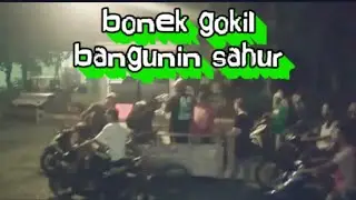 GokiL! Bonek bangunin sahur