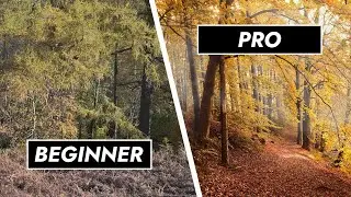 10 Quick Pro Tips for Autumn Photography 🍂