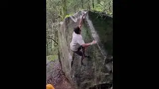 Tigrón, V8. Los Dinamos