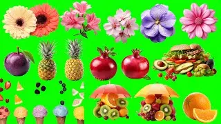 Ultra Hd Green Screen Food, Flowers, And Fruit #viral #food #flower #animation #greenscreen #hdvideo