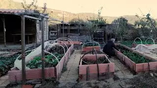 #5. Off-Grid House. Garden and Winter Cold Prep.