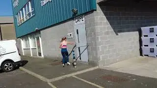 The Pink Shrimp Cafe