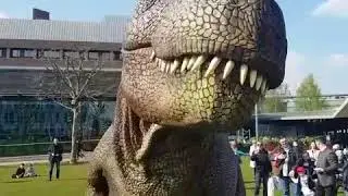 Hire the world's most realistic T-Rex - CHOMP - creatureevents.com