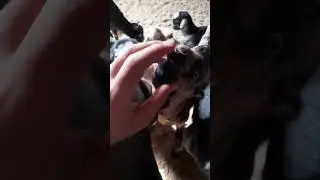 DOYDUĞUNUN FARKINDA DEĞİL