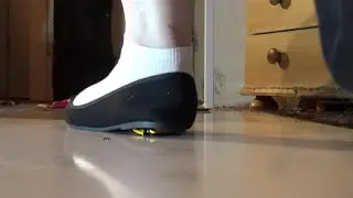 BBW CRUSH 86