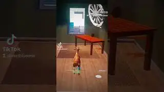Miss Rabbit Has Fainted
