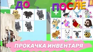 ПРОКАЧАЛА ПОДПИСЧИЦУ В АДОПТ МИ!! 😱 ИСПОЛНИЛА МЕЧТУ?! 🔥 || Adopt Me Roblox ||