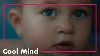 PDV - Il ciclo della vita