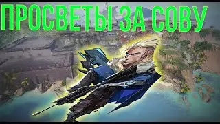 просветы за сову на карте breeze | valorant