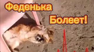 #ЕЙСК