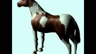 3D Model Pinto Horse Review