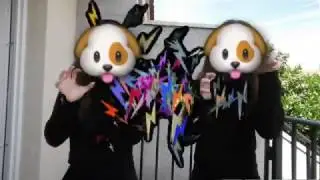 DAMA Y VAGABUNDO - VIDEO FX