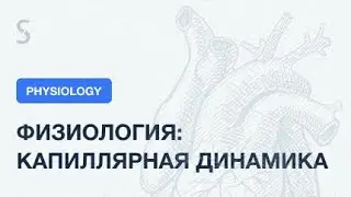 USMLE Step 1 - Физиология: капиллярная динамика. Уравнение Старлинга