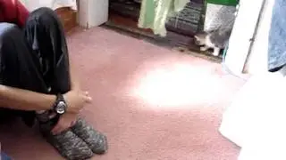 MOV04451