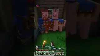 100 Дней Выживания на Сборке FRESHCRAFT