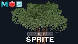 CLASS 35: Tree Modeling & Redshift Sprite - Urdu/Hindi