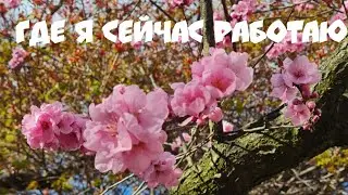 Моя работа в Польше. Где я сейчас работаю. Чем мы занимаемся в Польше. Работа в Варшаве.