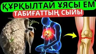 Құрқылтай ұясының пайдасы 80 ауруға ем