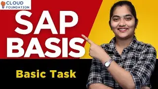 SAP Basis Introduction & Architecture | SAP Basis Login | SAP Basis Basic Task | CloudFoundation