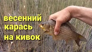 Рыбалка. Ловля карася на боковой кивок весной. Рыбалка на удочку весной.