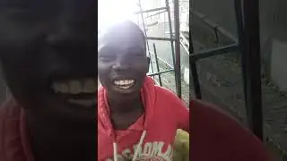 new stori