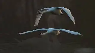 ПРИЛЕТАЙ...