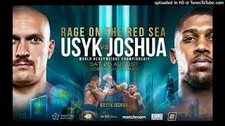 Oleksandr Usyk vs Anthony Joshua 2 Who Wins? What are the Betting Odds for the Fight?
