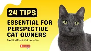 24 Essential Tips Before Getting a Cat 🐱❤️ #cats #newcat #catowners