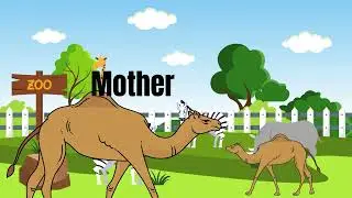 A Camel in the Zoo