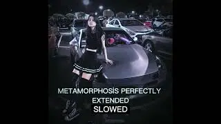METAMORPHOSIS PERFECTLY EXTENDED - SLOWED
