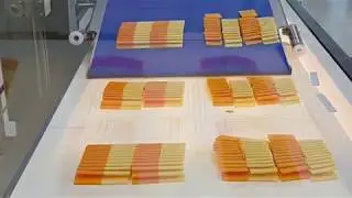 TS700 running cheese cracker cut application