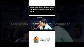 Every #projectmanager vs #teamlead when project deadline is not meet #funny #shorts