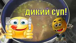 VLOG /ДИКИЙ СУП /ПУШИСТЫЕ МОДЕЛИ