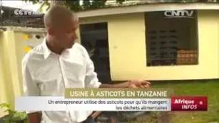 Un entrepreneur utilise des asticots pour qu’ils mangent les déchets alimentaires