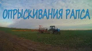 Опрыскивания рапса