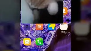 My cat Simba