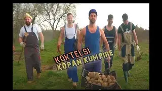 ® KOKTELSI  - KOPAN KUMPIRE, BEREN JABUKE   (Official Video FullHD) CMC fest 2021