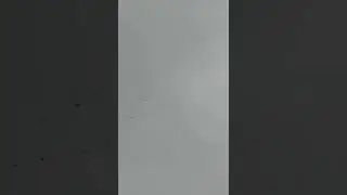 Журавли.